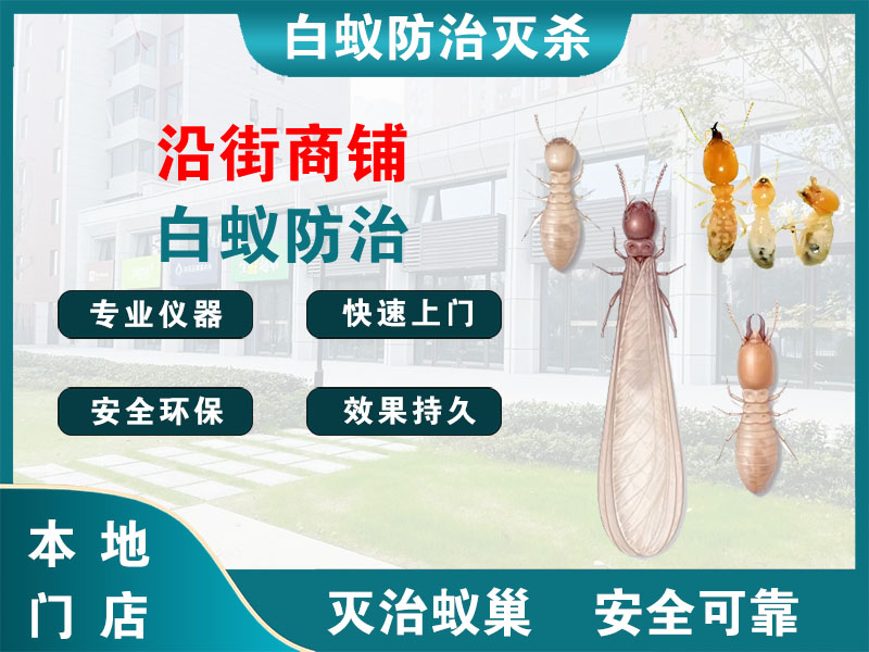 南浔区沿街商铺白蚁防治