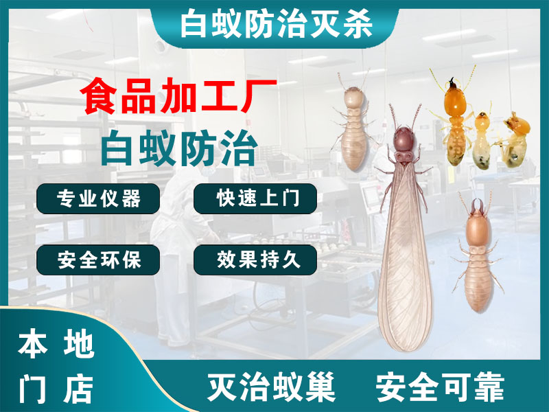 南浔区食品加工厂白蚁防治