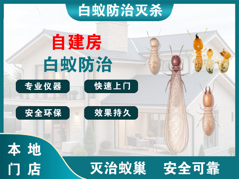 南浔区自建房白蚁防治