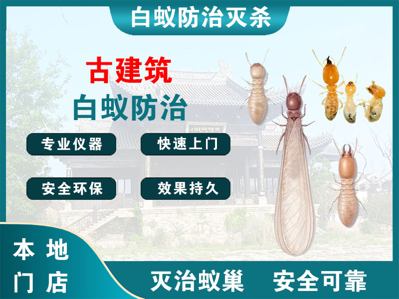 南浔区古建筑白蚁防治