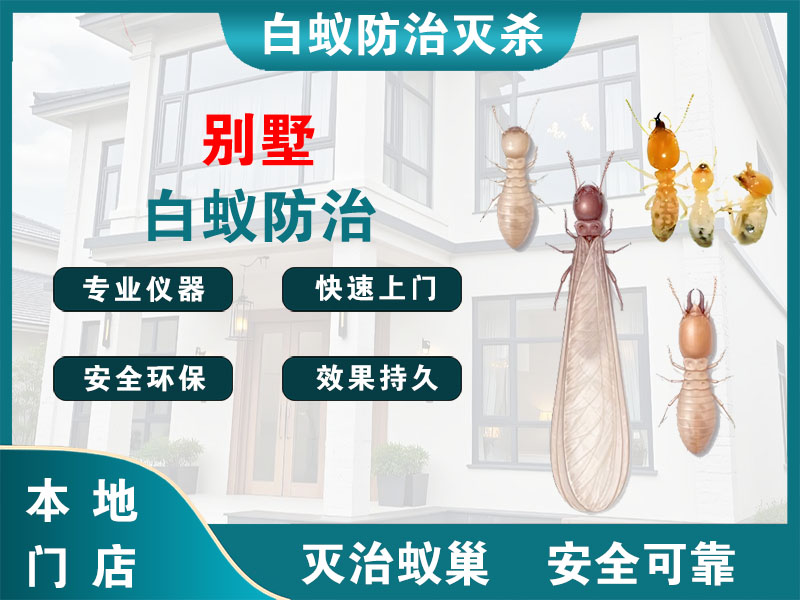 南浔区别墅白蚁防治