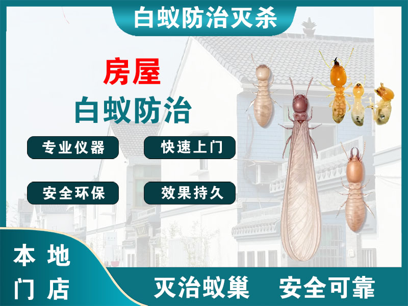 南浔区房屋白蚁防治